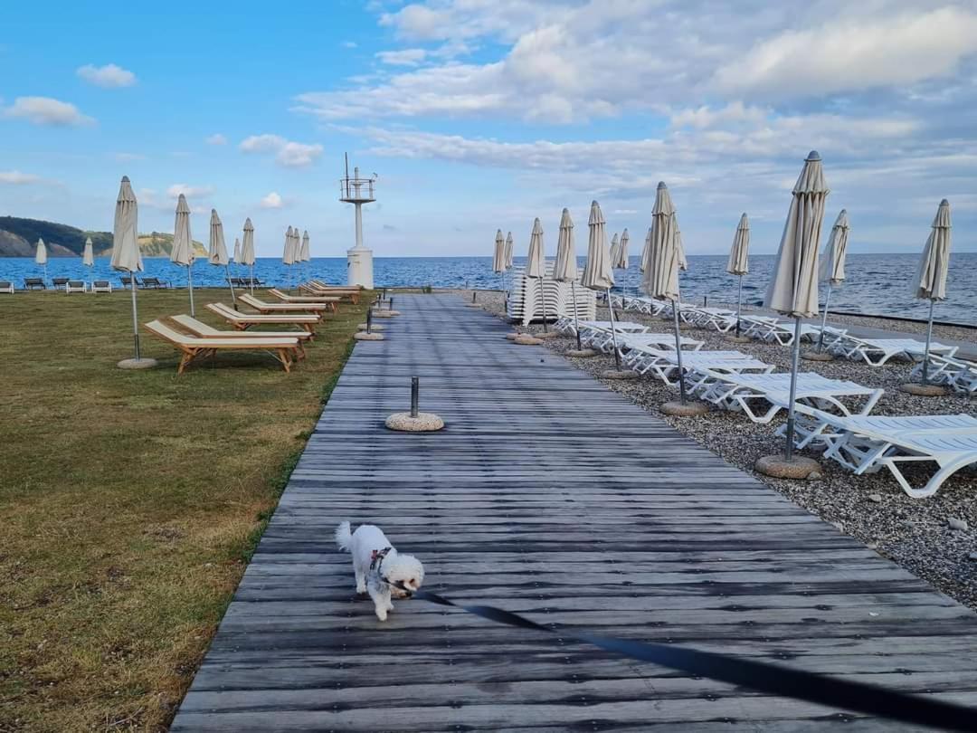Apartmaji Soncek Izola Exterior foto